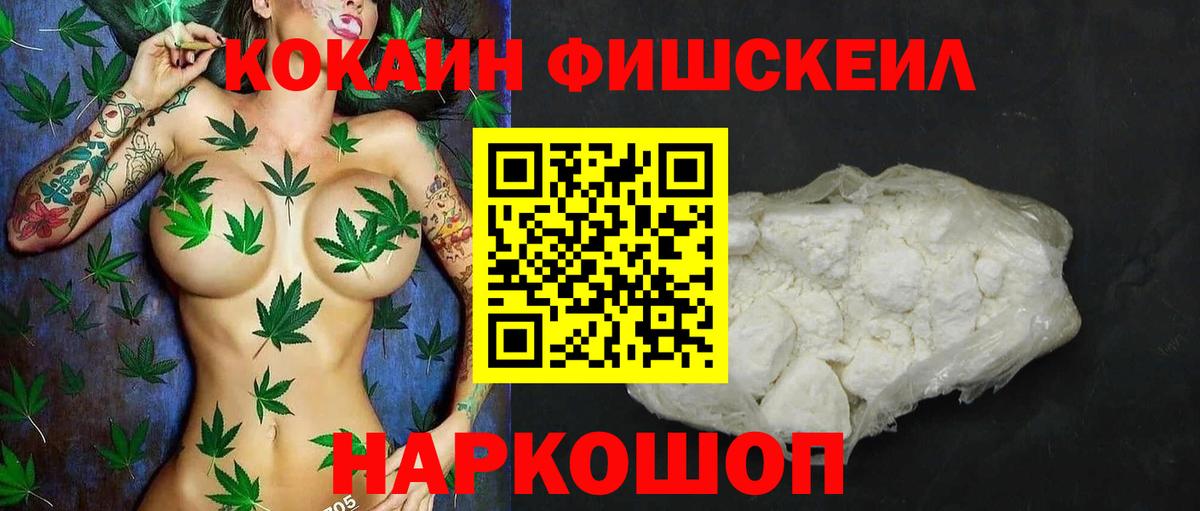 Кокаин Эквадор Кунгур