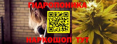 кокаин колумбия Кингисепп
